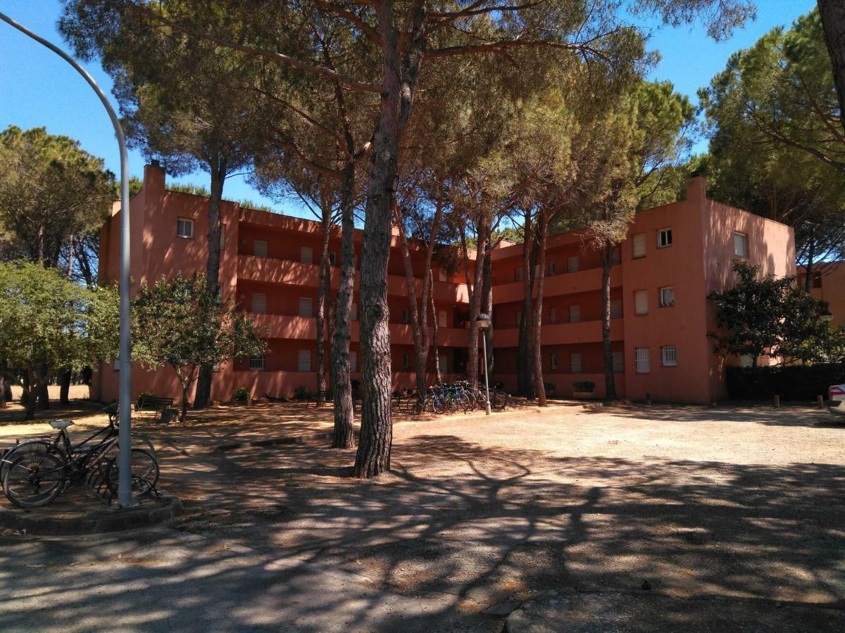 Bonito Apartamento, Con Piscina, Excelente Wifi Y Aire Acondicionado Pals Exterior photo